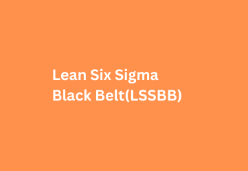 Lean Six Sigma Black Belt Certification Course(White Belt to Black Belt)